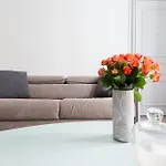 Appartement Parisian